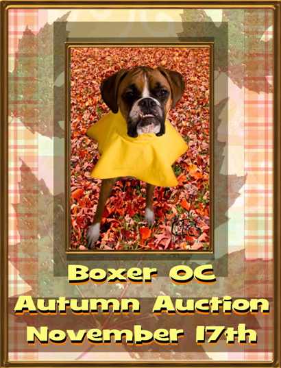 2nd Annual Autumn Auction