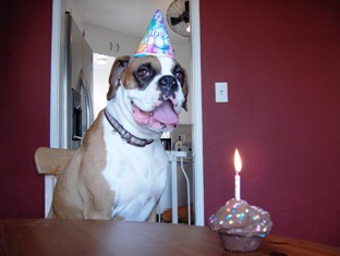 Trucker & his Adoption cake